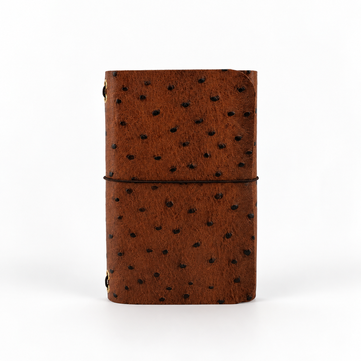 A6 Brown Ostrich