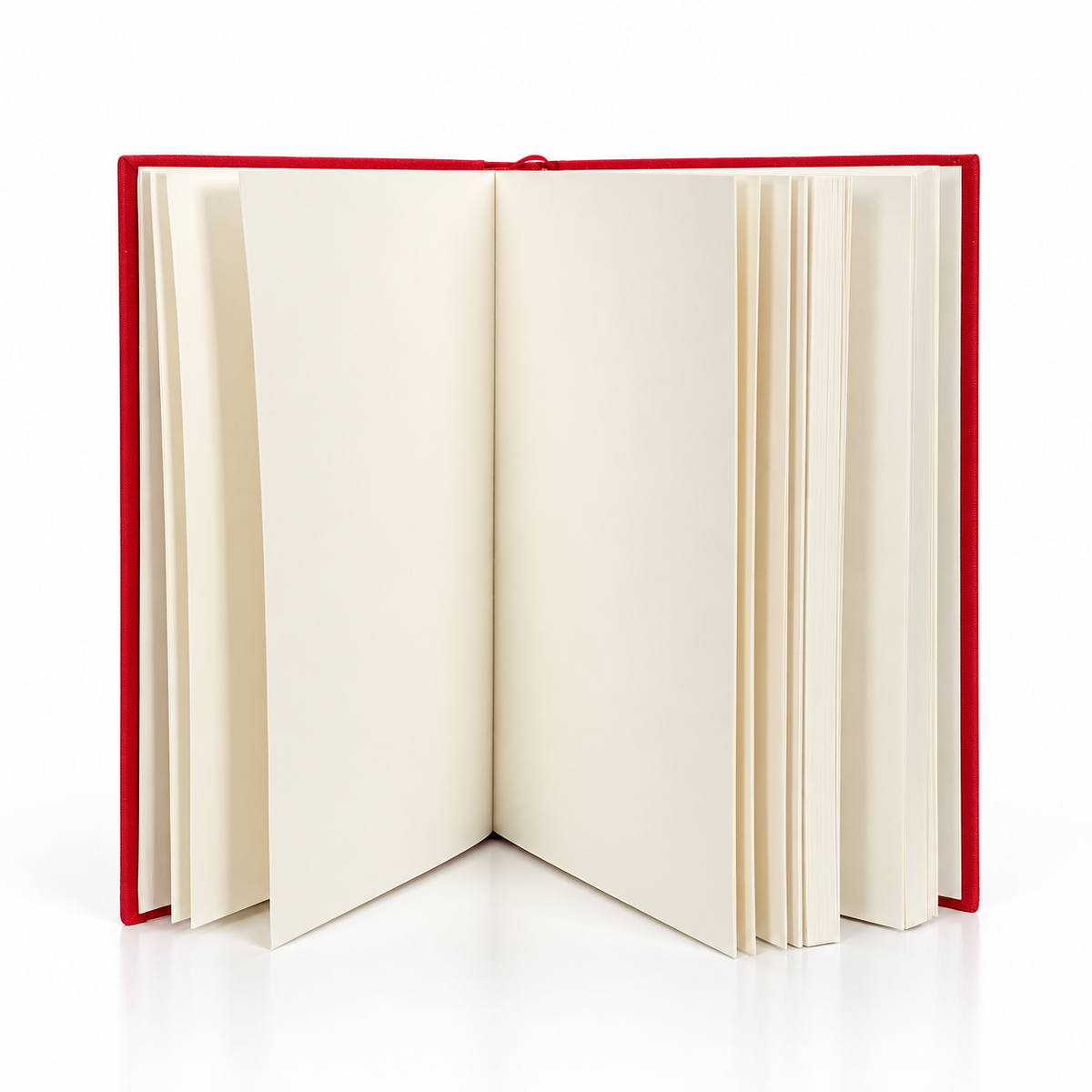 EDITION BLANK