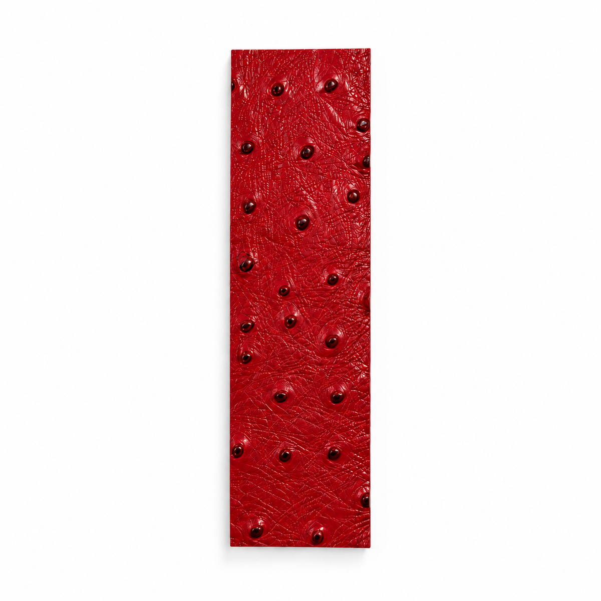 Édition Bookmark
